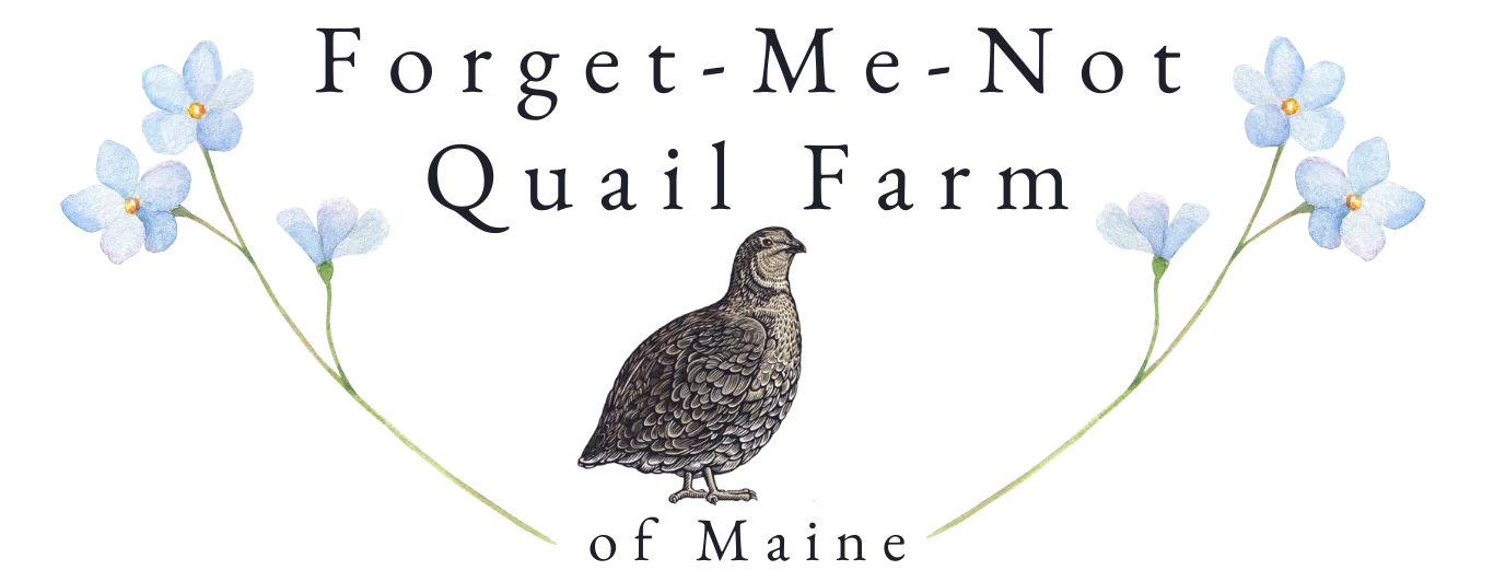 The Forget-Me-Not Quail Farm of Maine logo.