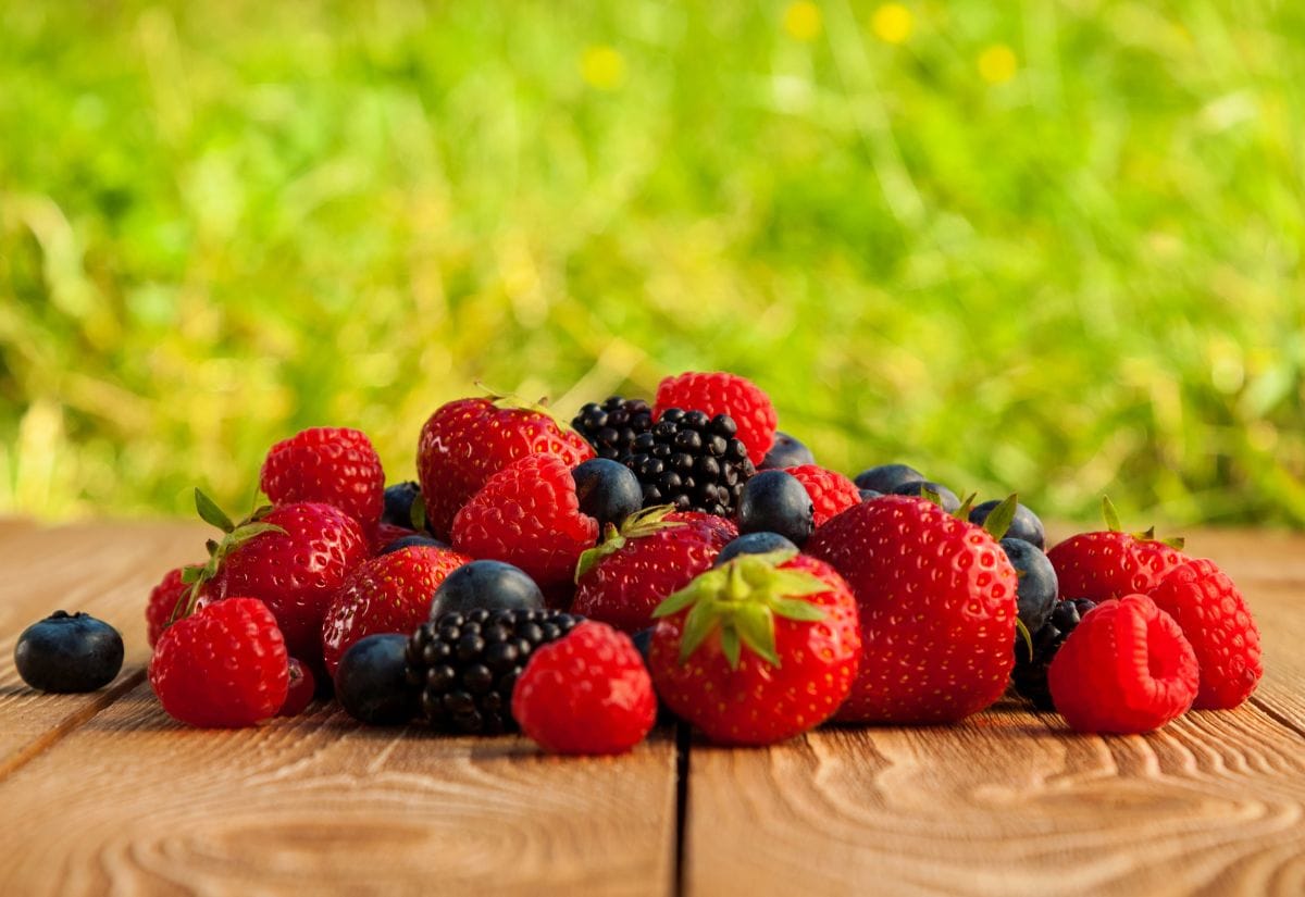 A sampling of mixed berries that can be fed to Coturnix quail.