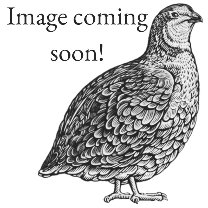 Placeholder image of a quail.
