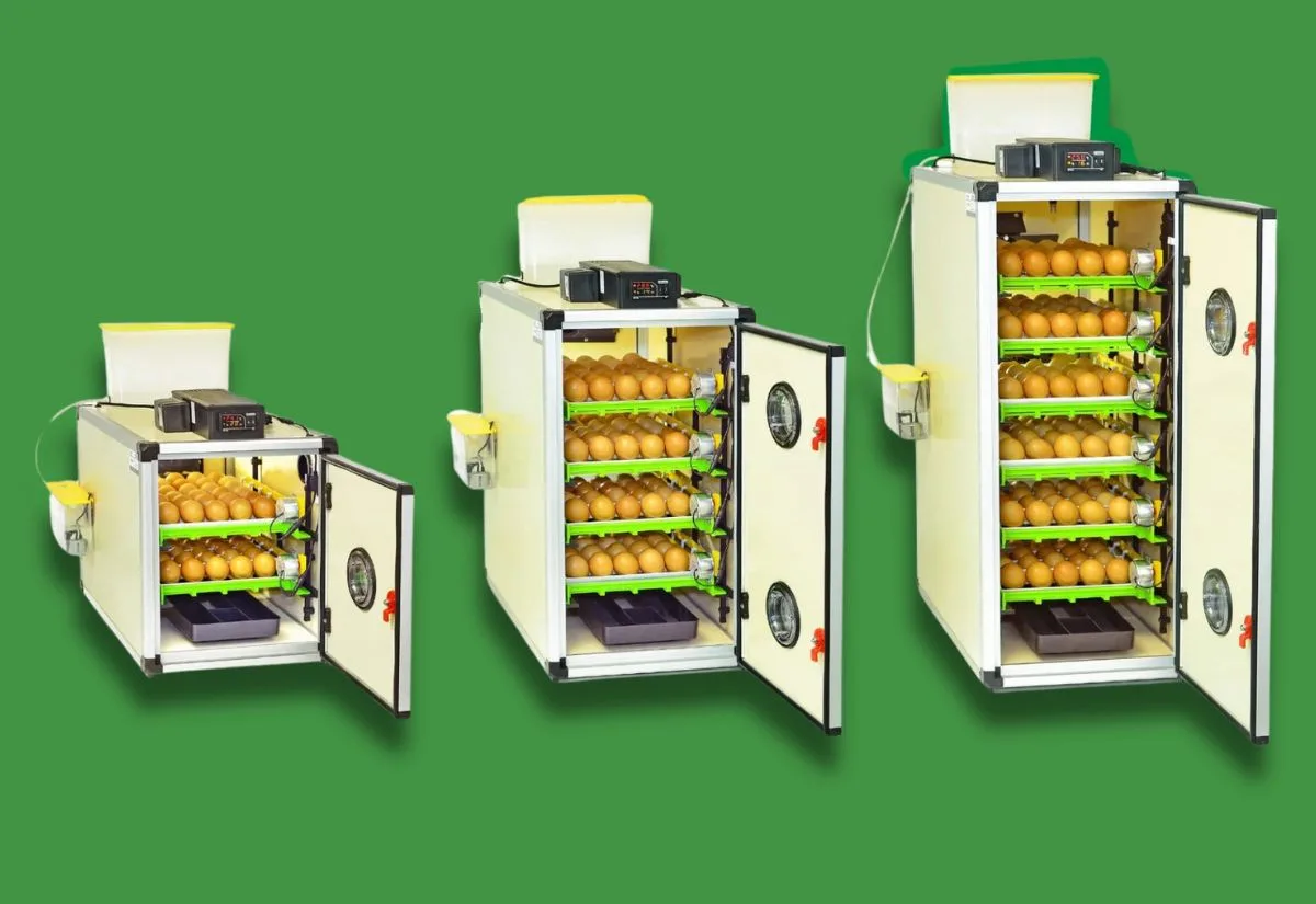 A comparison of the three Hatching Time cabinet incubator modesl.