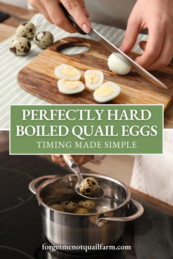 Pinterest graphic showing hard-boiled quail eggs being sliced on a cutting board and lifted from boiling water, with text overlay reading “Perfectly Hard Boiled Quail Eggs – Timing Made Simple.”