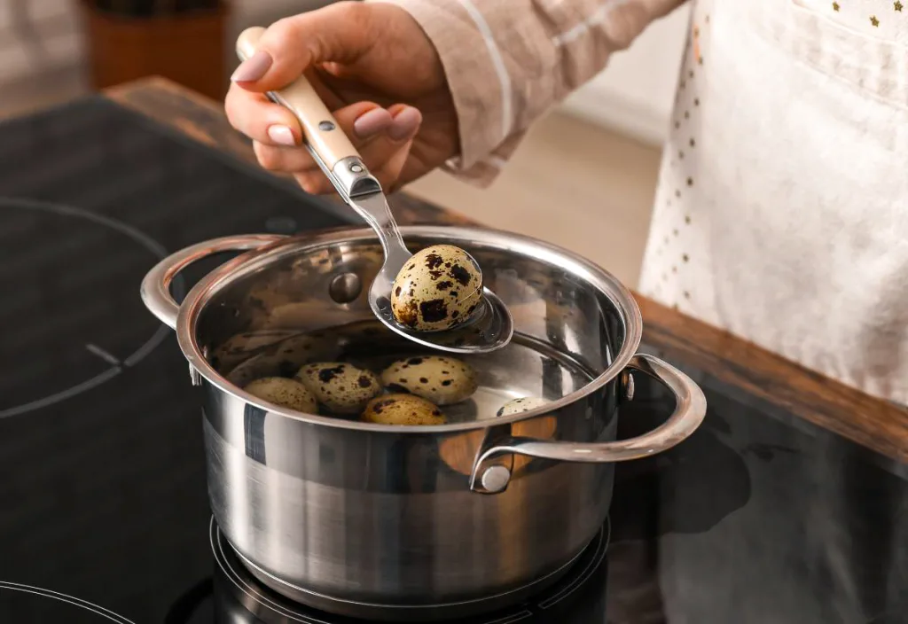 Hand lowering a speckled quail egg into a pot of boiling water on a stovetop using a spoon, demonstrating how to boil quail eggs properly.