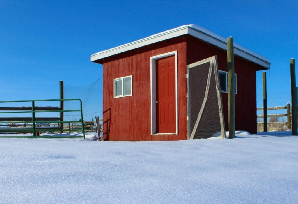 A red quail shed in the snow.