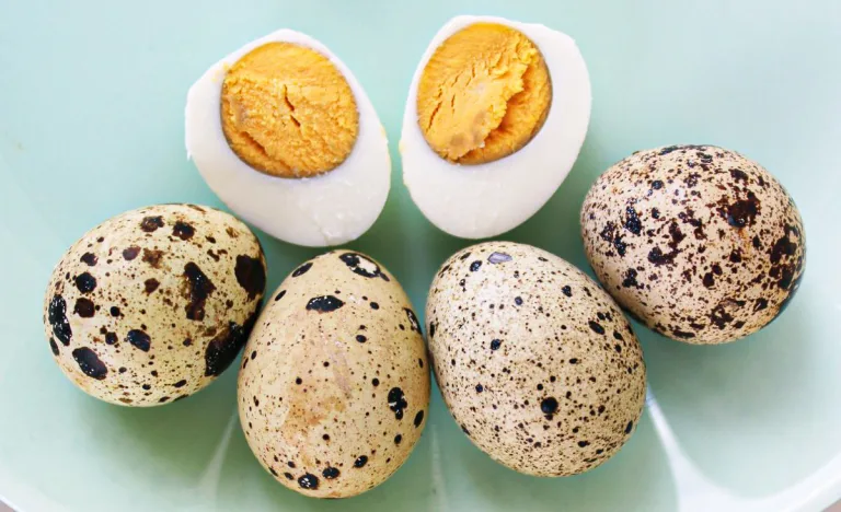 Whole and halved quail eggs on a light green plate, showing speckled shells and fully set golden yolks for visual reference of doneness.