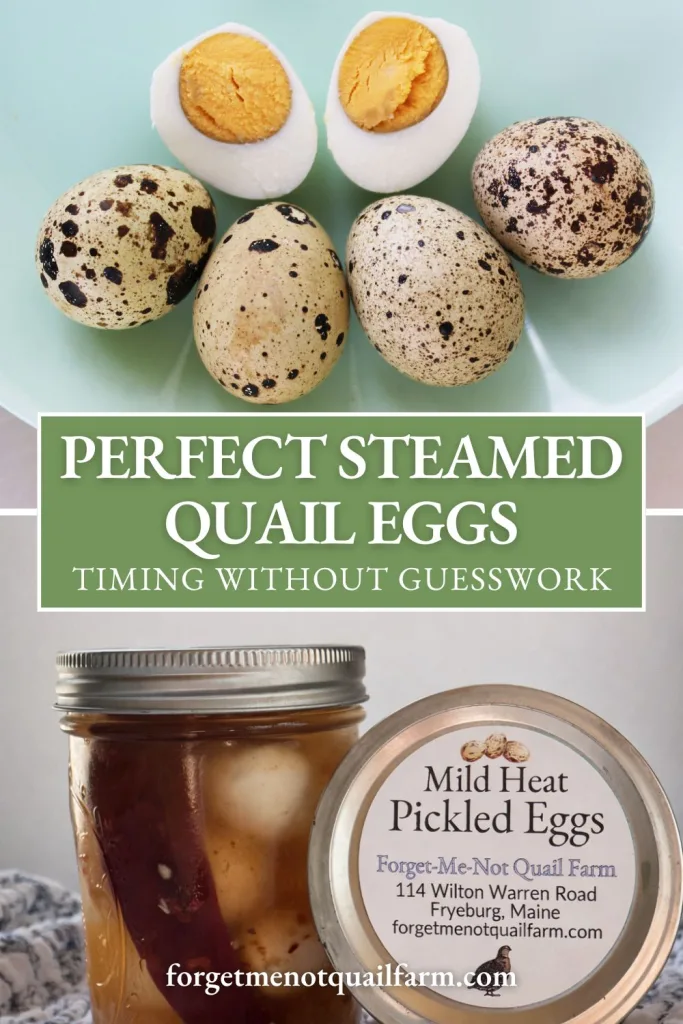Pinterest graphic reading “Perfect Steamed Quail Eggs – Timing Without Guesswork” above a jar of Mild Heat pickled quail eggs from Forget-Me-Not Quail Farm.