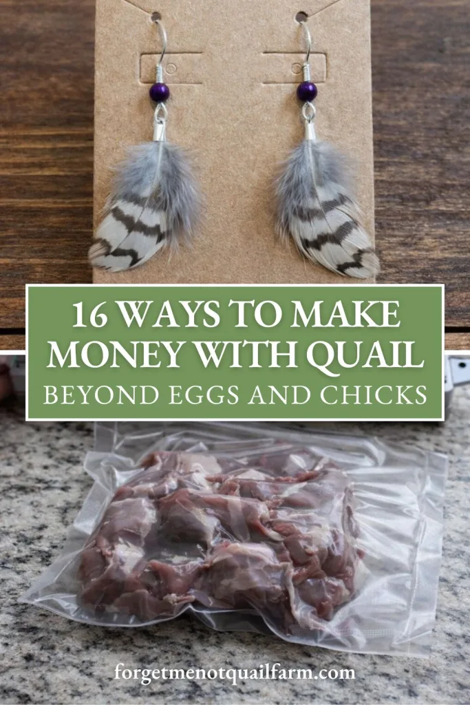 Pinterest graphic showing handmade quail feather earrings at the top and vacuum-sealed raw quail meat on a granite countertop at the bottom, with the text “16 Ways to Make Money With Quail Beyond Eggs and Chicks” and the website forgetmenotquailfarm.com.
