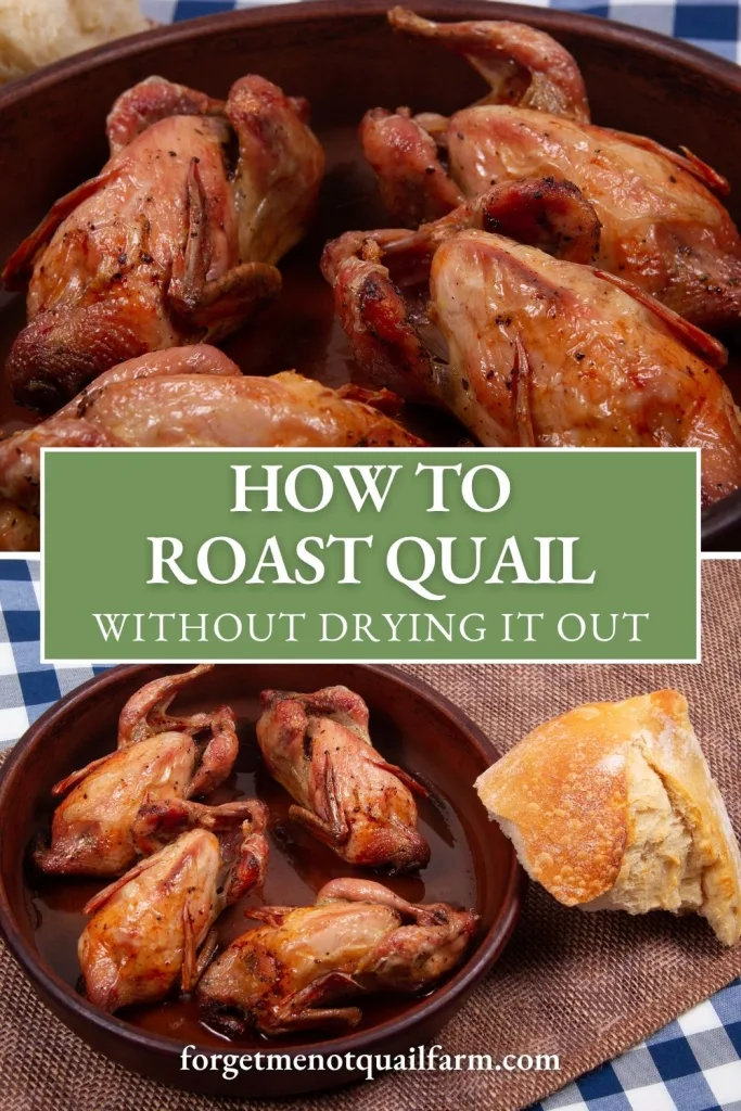 A pinterest-friendly graphic showing a plate of roasted quail and a piece of bread with a title that says 'How to Roast Quail Without Drying it Out.'